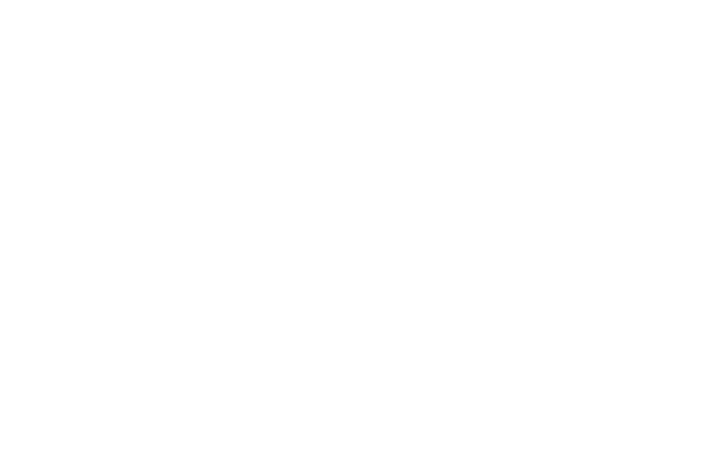 Albert Elsenaar | logo